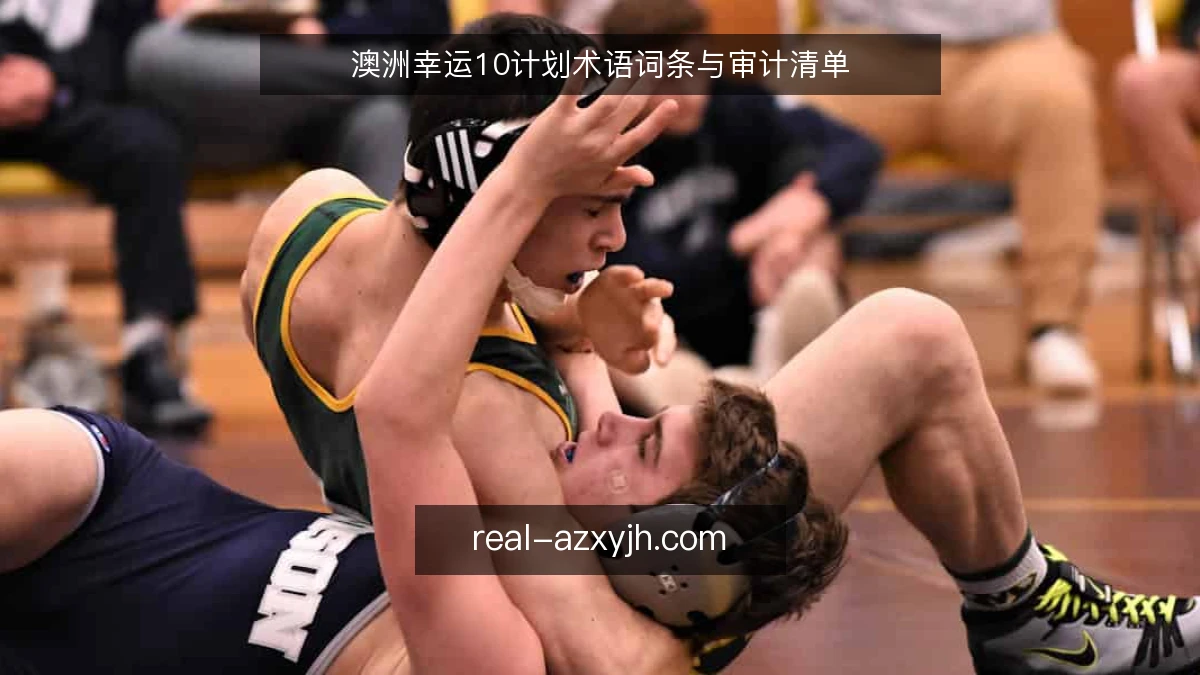 澳洲幸运10计划术语词条与审计清单