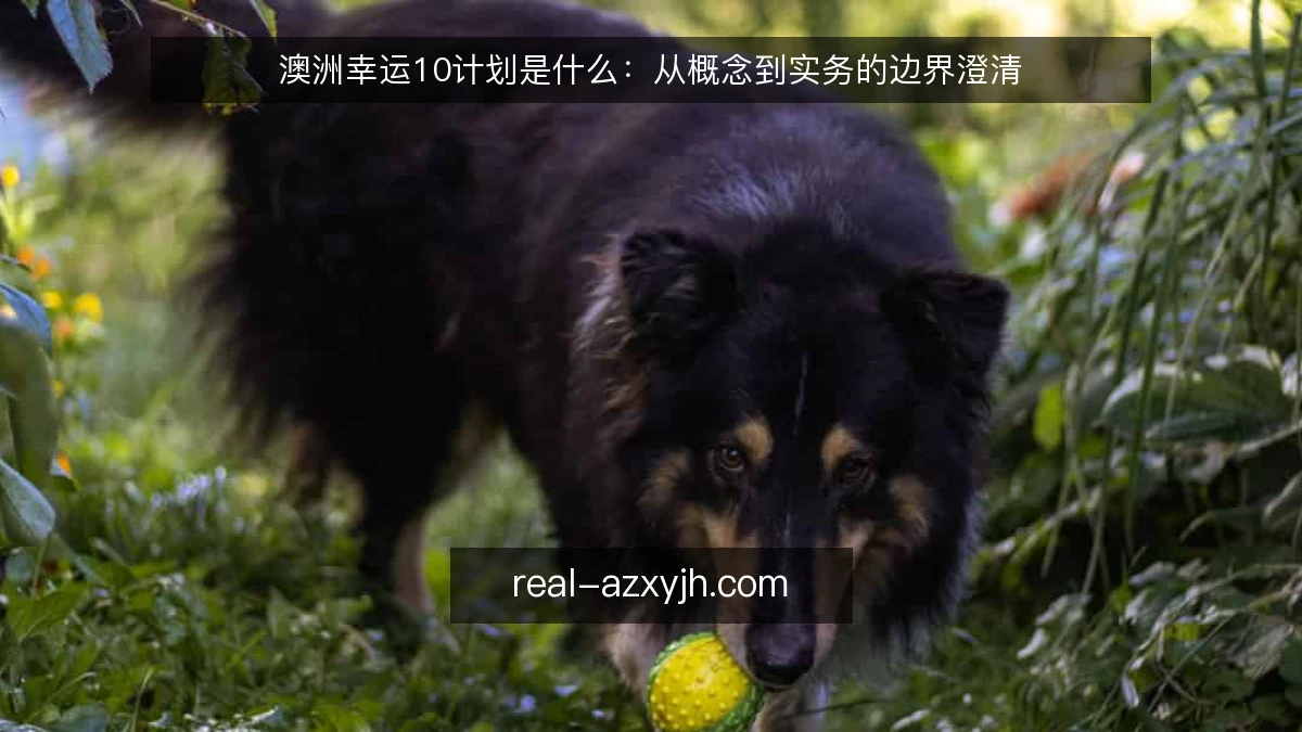 澳洲幸运10计划是什么：从概念到实务的边界澄清