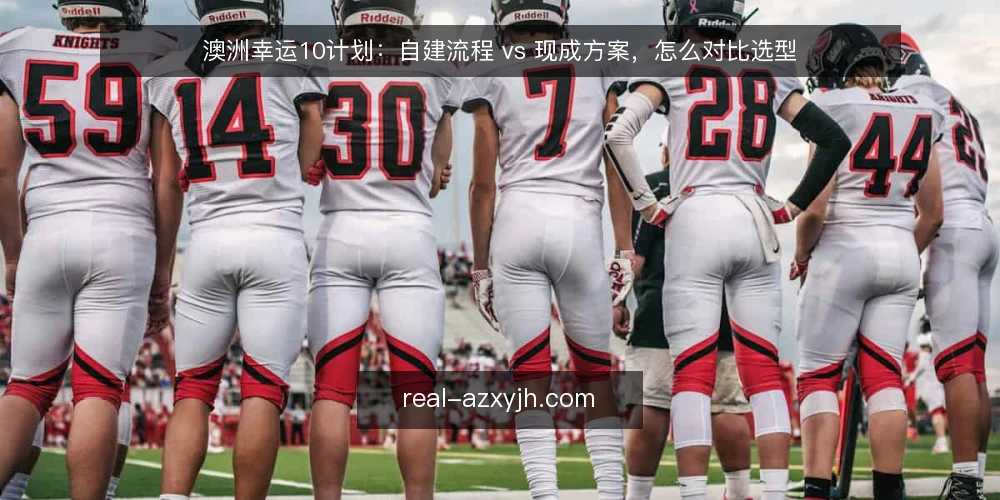 澳洲幸运10计划:自建流程 vs 现成方案,怎么对比选型 — 先把场景摆出来:谁在做选择 配图